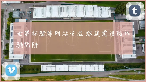 世界杯赌球网站泛滥 球迷需谨防诈骗陷阱