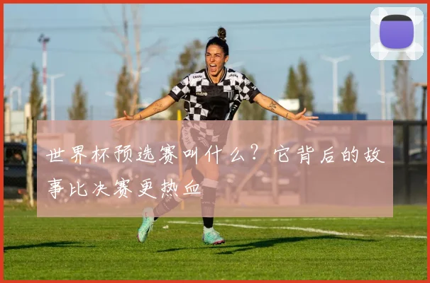 世界杯预选赛叫什么？它背后的故事比决赛更热血