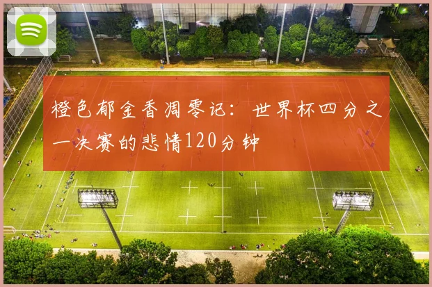 橙色郁金香凋零记：世界杯四分之一决赛的悲情120分钟