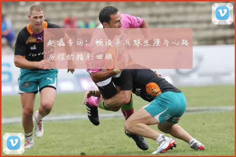 赵磊专访：畅谈乒乓球生涯与心路历程的精彩回顾