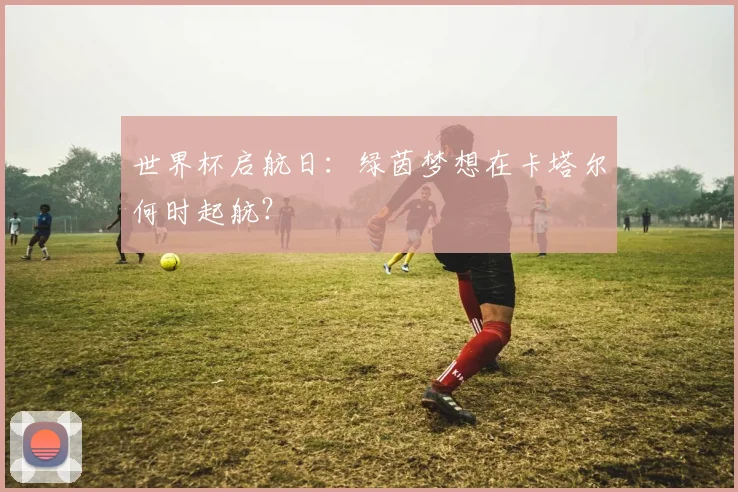 世界杯启航日：绿茵梦想在卡塔尔何时起航？