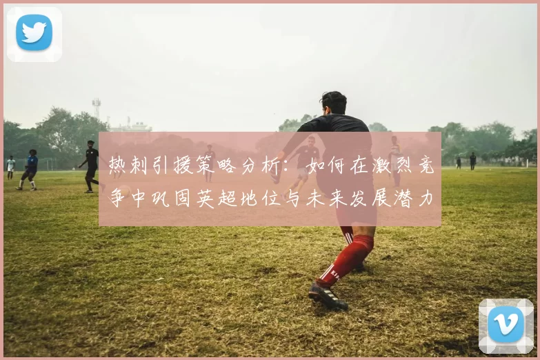 热刺引援策略分析：如何在激烈竞争中巩固英超地位与未来发展潜力