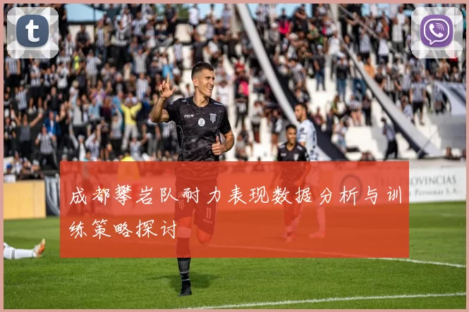 成都攀岩队耐力表现数据分析与训练策略探讨