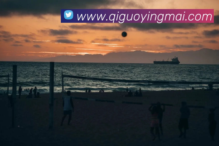 App Interface Preview