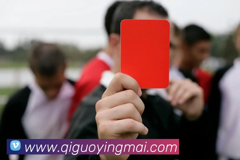 买球官网APP 封面图